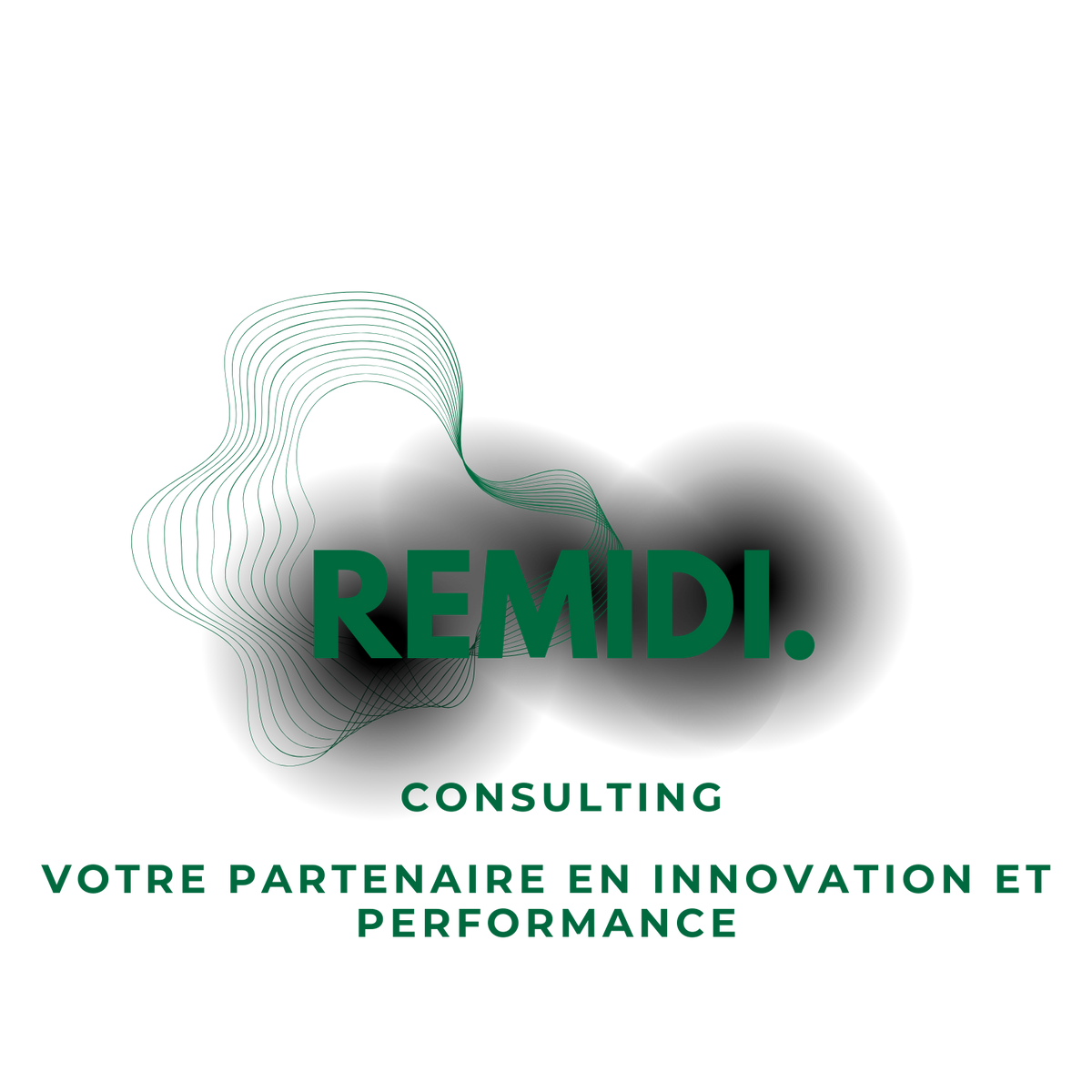 REMIDI Consulting